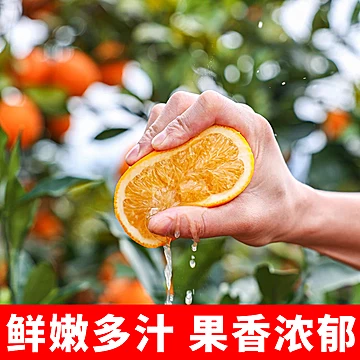 高山奉节脐橙中大果净重4.5斤[5元优惠券]-寻折猪