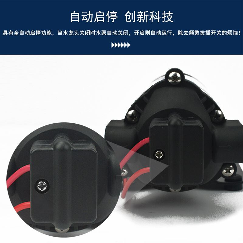 DP-160高压隔膜水泵12V24V110V220V直流交流压路机净水器洗车喷雾 - 图1