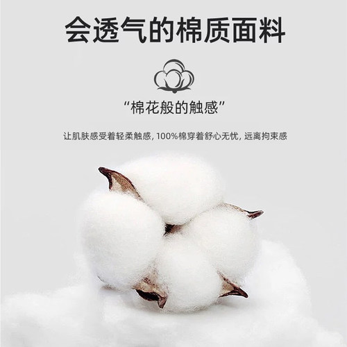 名创优品短袖t恤女2026新款夏季大码纯棉长袖内搭打底衫早秋上衣D - 图2