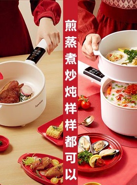 德国家用小型多功能大容量电煮锅