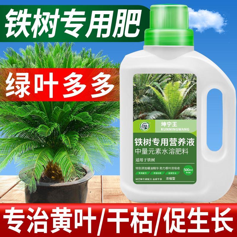 坤宁王铁树专用肥料营养液室内盆栽植物营养液通用型治叶子发黄