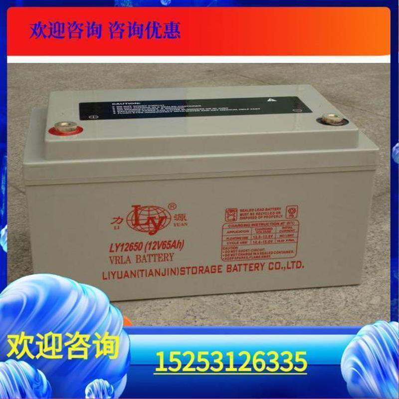 力源WINTERSWEET蓄电池LY122000/12v200ah免维护供应质保三年 - 图1