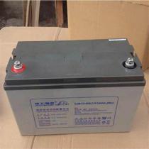 Jiangsu Liz storage battery DGM12100 colloidal free of maintenance storage battery 12V100AH DC screen UPS special