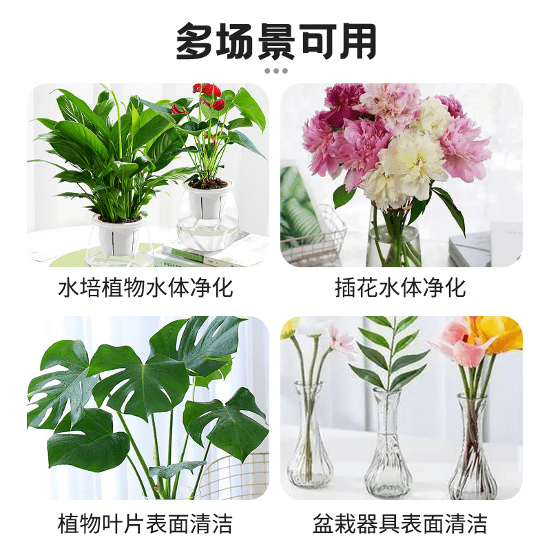 【养花不换水】净水免换水培植物通用鲜花保鲜消毒片专用净水保鲜