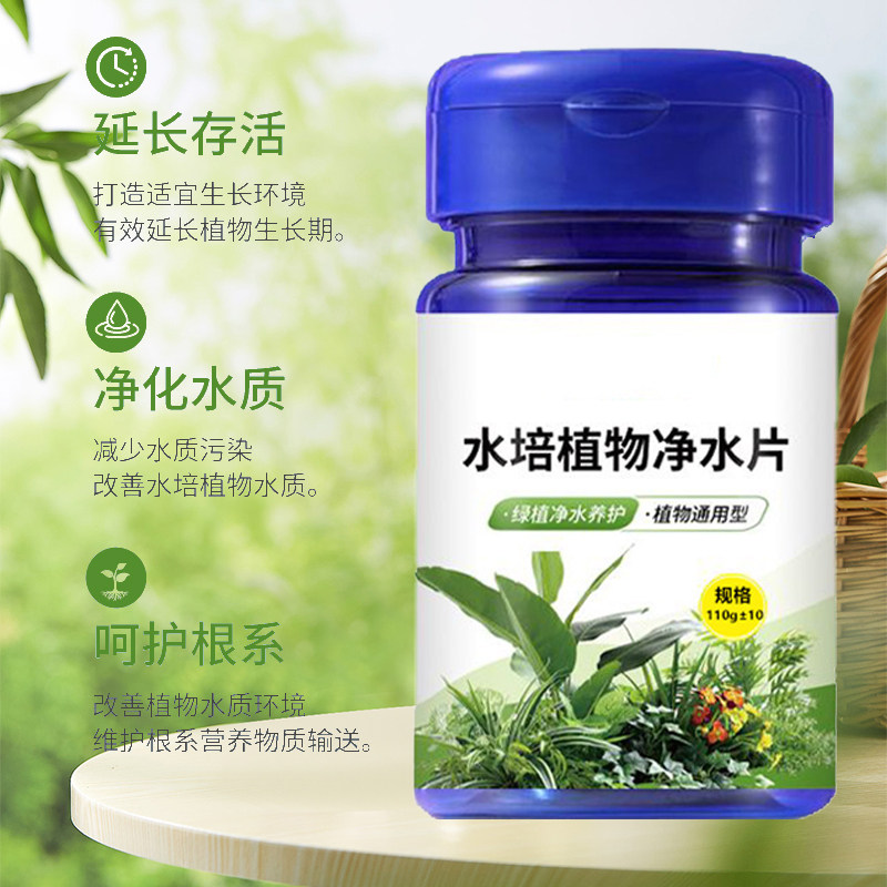 【养花不换水】净水免换水培植物通用鲜花保鲜消毒片专用净水保鲜