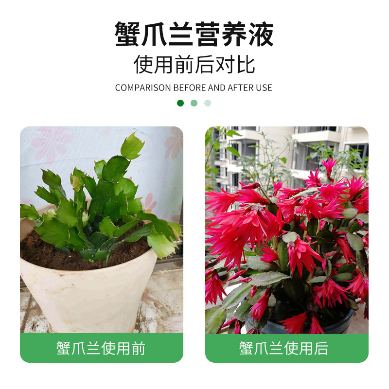 【急救软烂】蟹爪兰急救发蔫软烂去黄叶开花壮根液体肥专用营养液,淘宝优惠券,粉丝福利购,淘宝优惠卷