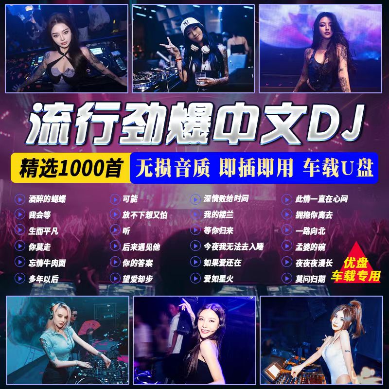 车载u盘全视频歌曲2024新歌抖音流行DJ无损高品质车用mp4汽车优盘 - 图2