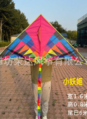 潍坊风筝 三角长尾妖姬风筝 儿童风筝飞行稳定 好卖厂家