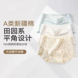 Хлопковые трусы, штаны, спортивный дышащий утягивающий пояс на талию, высокая талия, с акцентом на бедрах, большой размер