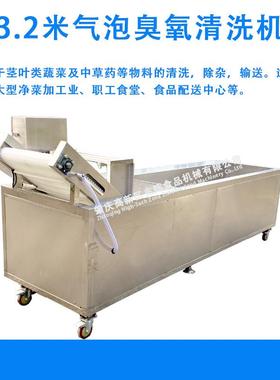果蔬气泡清洗机大型全自动水果清洗线多功能蔬菜清洗菜机设备