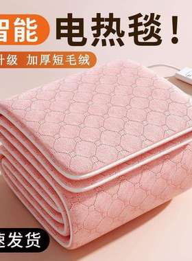 电热毯双人双控电褥子单人智能定时学生宿舍家用恒温速热除螨除潮
