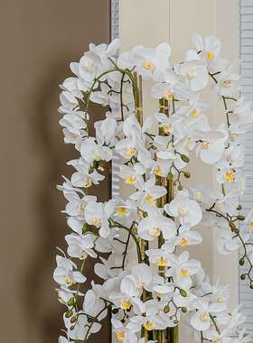 仿真蝴蝶兰盆栽手感大盆大型懒人盆带花箭欧式花艺兰花仿真花