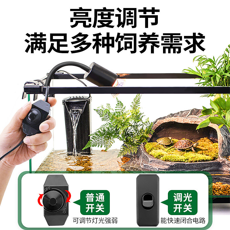 乌龟晒背灯uvb加热保温灯爬宠专用灯泡宠物恒温取暖乌龟照明灯架,淘宝优惠券,粉丝福利购,淘宝优惠卷