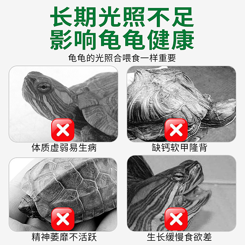 乌龟晒背灯uvb加热保温灯爬宠专用灯泡宠物恒温取暖乌龟照明灯架,淘宝优惠券,粉丝福利购,淘宝优惠卷