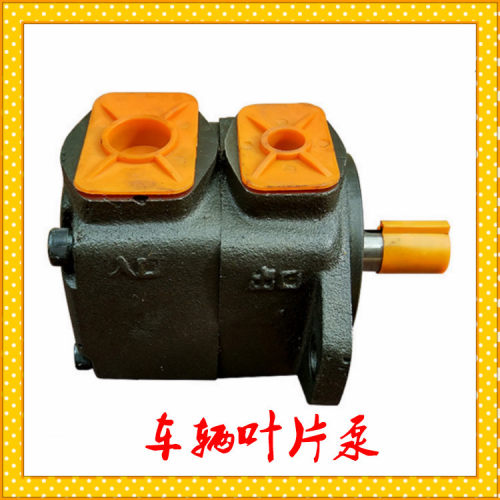 YB-A48C-DT-FF-10车辆叶片泵 YB-A58C-DT-FF-10叶片式油泵 - 图0