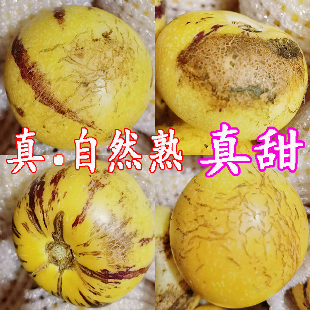 云南石林人参果9斤新鲜大果当季整箱人叁果水果七彩黄肉圆果包邮,淘宝优惠券,粉丝福利购,淘宝优惠卷