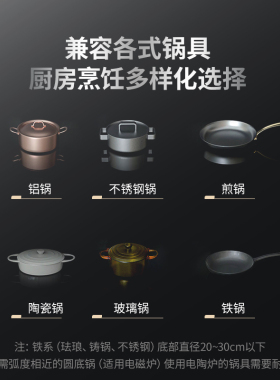SCHNEIDER嵌入式双灶电磁炉电陶炉家用3500W大功率电灶台双头炉