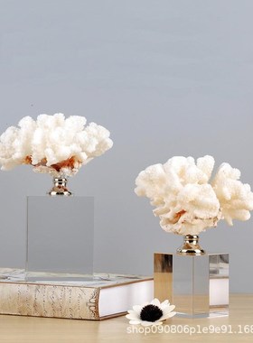 现代轻奢样板间家居客q厅摆件珊瑚水晶北欧电视柜书房办公司装饰