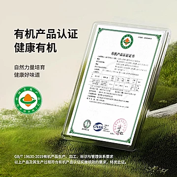 【首1元】啃糯东北有机糯玉米[3元优惠券]-寻折猪