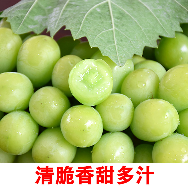 云南阳光玫瑰葡萄鲜果精品特大香印青提无籽晴王葡萄新鲜水果整箱 - 图2