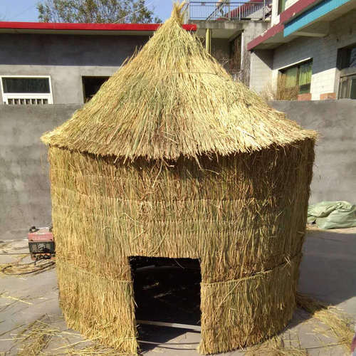 农家乐屋顶稻草装饰  稻草 稻草帘子 草垛道具干稻草制作 新稻草 - 图2