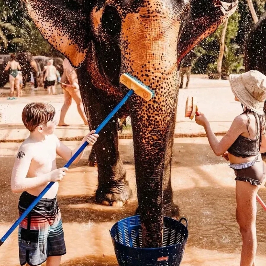 可趣游  普吉岛可巧奈迪大象营半日游大象保护营洗澡喂食亲子泰国 - 图2