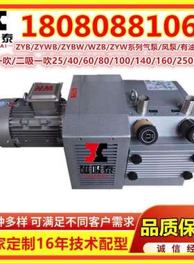 ZYBW...E真空压力复合气泵ZYBW60E滑片泵甩片泵干泵镇江气泵