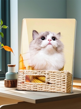 可定制宠物照片摆件亚克力防水竖版横版客厅桌面摆台生日纪念礼物