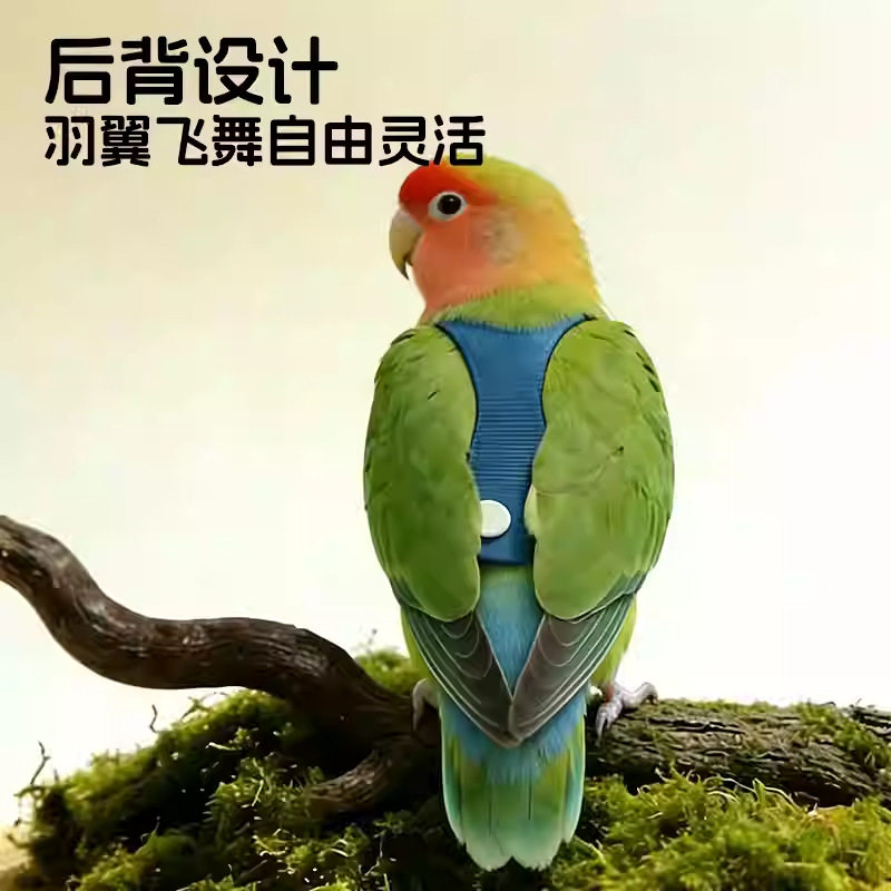 图3