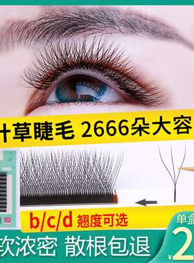 极速咖彩新款三叶草睫毛美睫店专用 yy自然开花假睫毛Z嫁接超软不