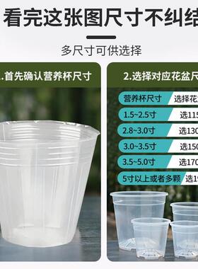 透明塑料空气柱兰花盆青山盆加厚控根盆蝴蝶兰专用透气花盆育苗盆