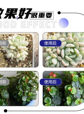 园艺花肥植物复苏液营养液植物通用型盆栽花卉复活液花肥养花通用