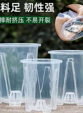 蝴蝶兰专用花盆空气柱透明青山盆特大号大口径塑料圆形桌面高花盆