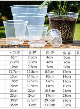 高透明硬质塑料花盆蝴蝶兰育苗多肉兰花铁皮石斛观根控根透气盆