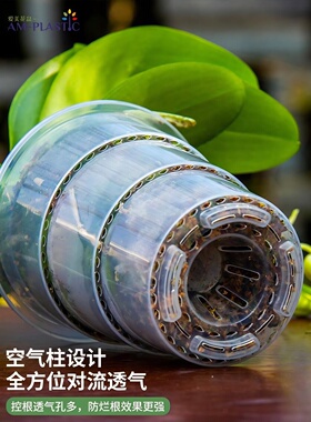 爱美透明青山控根盆兰花水苔蝴蝶兰专用花盆塑料透气镂空花盆家用