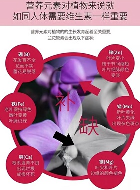 兰花多箭素生根发芽开花爆芽素专用营养液兰陵王蝴蝶兰君子兰肥料