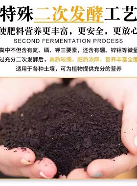 纯羊粪发酵有机肥腐熟粪肥种花菜肥果蔬养花卉专用通用肥料内蒙古