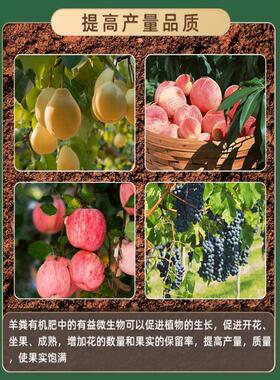 盛花源官方旗舰店内蒙古纯羊粪发酵有机肥蔬菜花卉专用肥料营养土