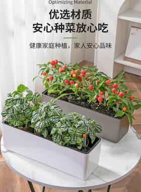 阳台长方形花盆自吸水种菜盆蔬菜种葱窗台窄长型花盆长条可视水位