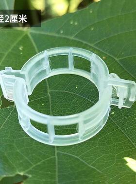 藤蔓固定夹瓜果植物塑料扶蔓夹绑蔓夹西红柿辣椒豆角黄瓜通用卡扣