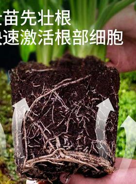[新品]壮根粉绿萝花肥壮根植物果树盆栽水培肥料花卉生根粉通用型