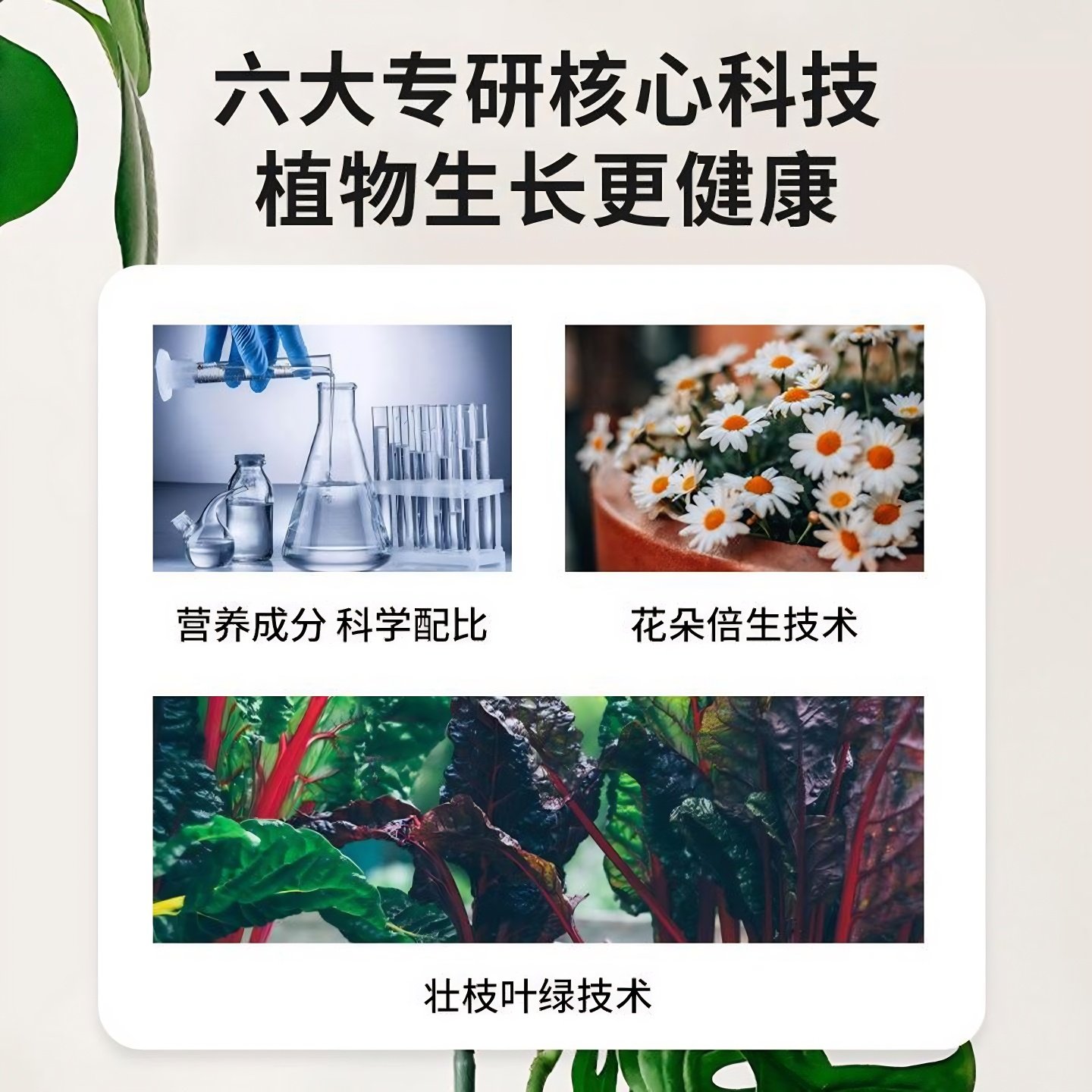 植物营养液通用型花肥水培发财树养花蔷薇玫瑰蔬菜叶菜用营养液体,淘宝优惠券,粉丝福利购,淘宝优惠卷