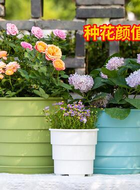 新款第四代青山盆加厚特大号龟背芋塑料花盆家用加仑盆透气控根盆