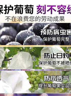 番茄套袋不织布布防虫防鸟专用果袋番茄圣女果蔬果通用水果网套袋