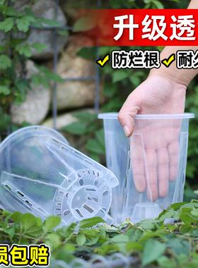 花大爷大号加厚镂空高款树脂塑料花盆透明透气升级控根空气柱花盆