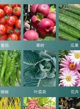 颗粒硼肥蔬菜果树西瓜西红柿葡萄花生蓝莓专用瓜果叶面肥水溶肥
