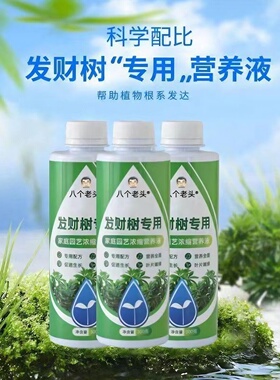 八个老头发财树专用营养液家用养花卉绿植水培多植物适用植物液体