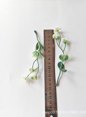 花玫瑰塑料水草配件仿真绿植蕨类挂霜植物工厂 仿真花