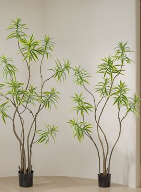 仿真绿植高级感金边百合竹落地植物盆栽室内客厅装饰摆件假树盆景