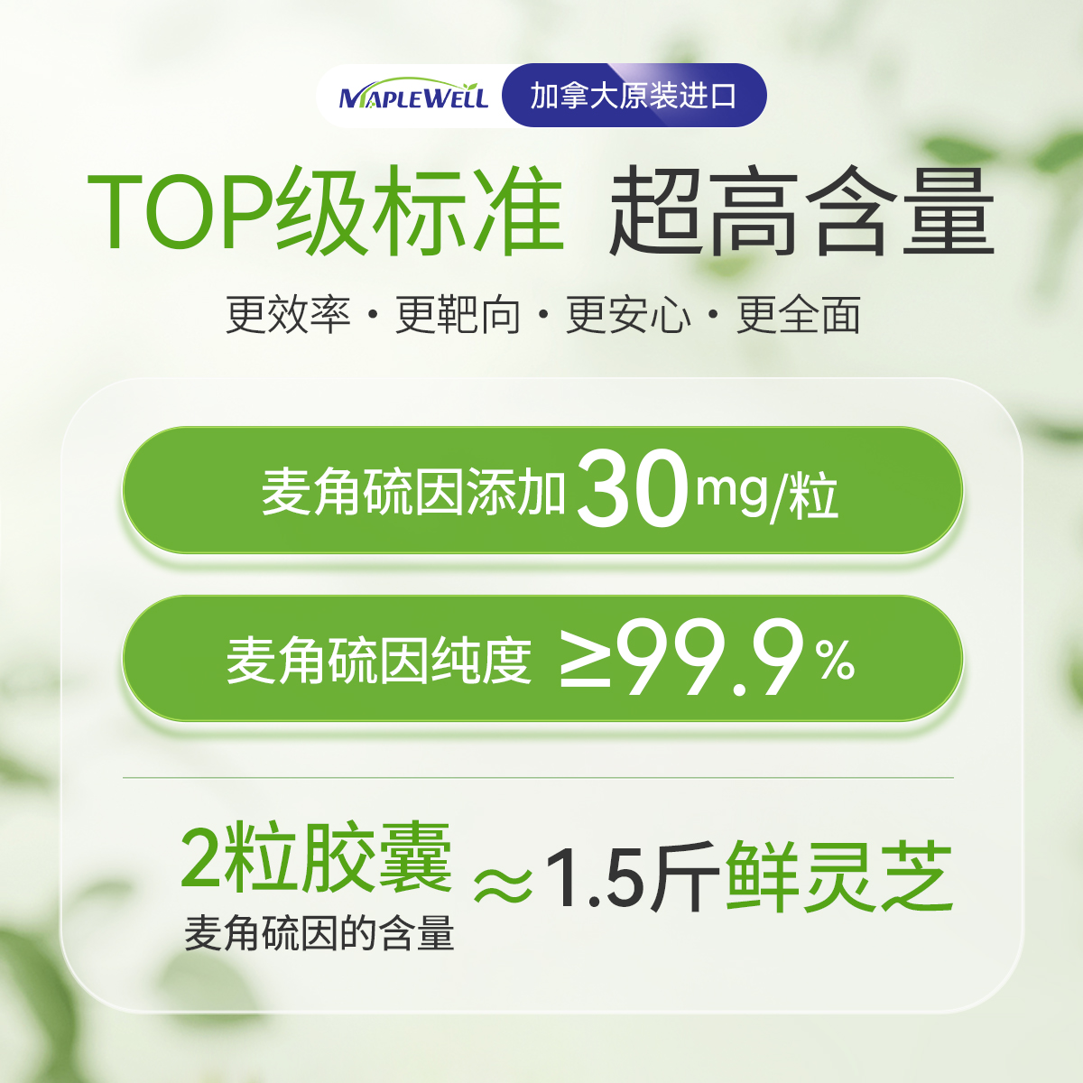 【3瓶装】MapleWell麦角硫因仙仙瓶加拿大30mg/粒高纯度驻颜助眠